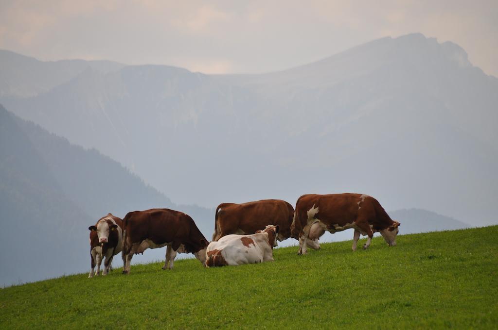 Galler Am Berg San Candido Bagian luar foto